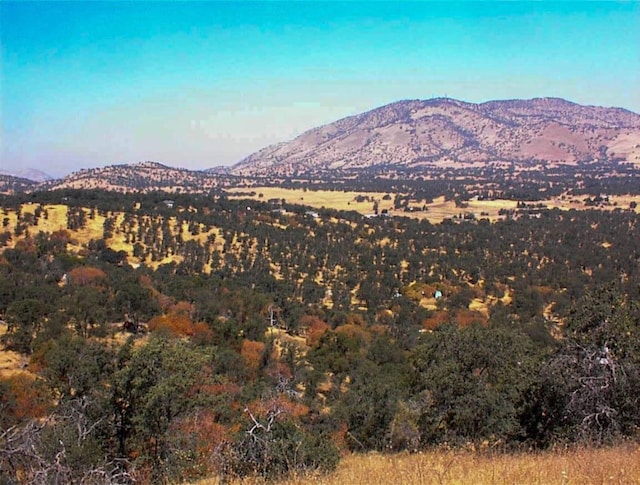 248 Fawn Ln, Yokuts Valley, CA 93675 - photo 13