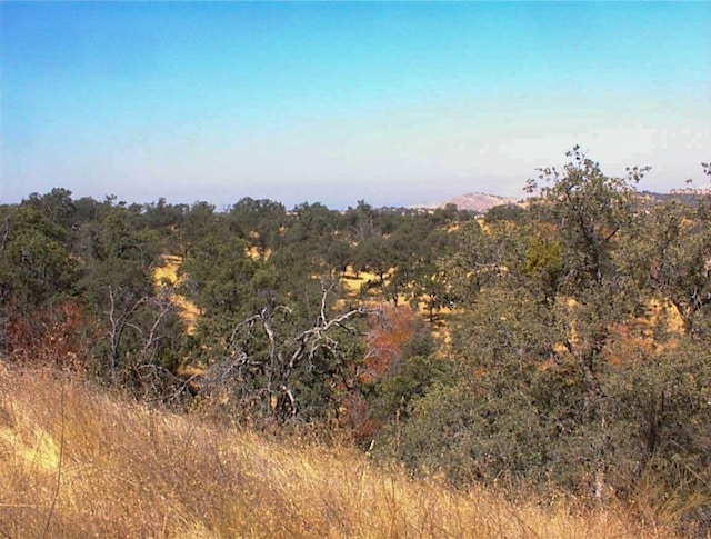 248 Fawn Ln, Yokuts Valley, CA 93675 - photo 11