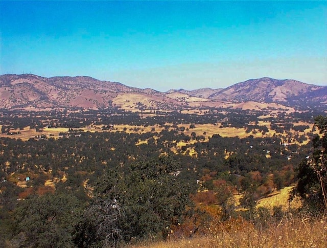 248 Fawn Ln, Yokuts Valley, CA 93675 - photo 14