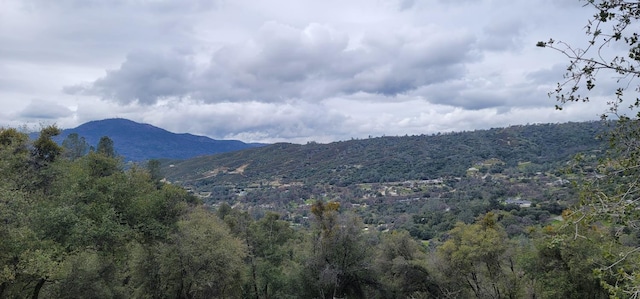 1 Hidden Falls Ln, Oakhurst, CA 93644 - photo 1
