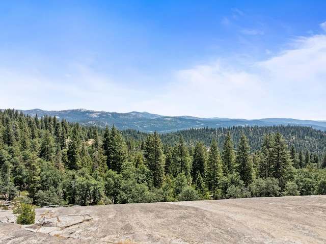 42298 Majestic Ln, Shaver Lake, CA 93664 - photo 38