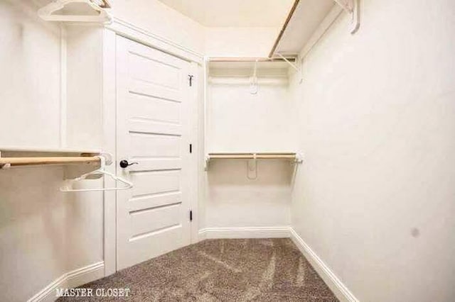 3728 E Huntington Blvd, Fresno, CA 93702 - walk in closet featuring carpet flooring