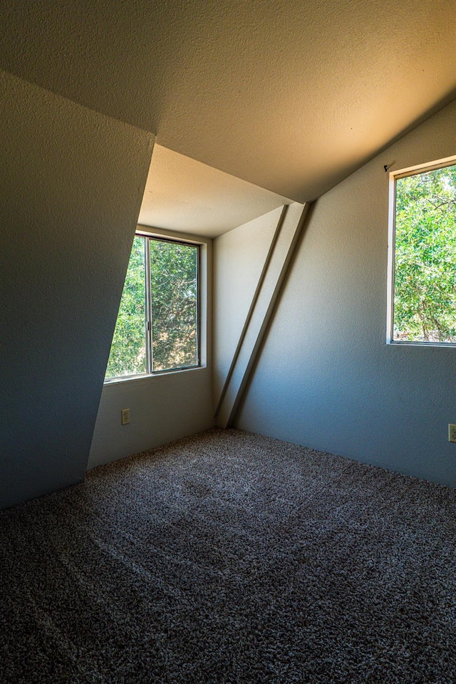 42560 Ranger Circle Way, Coarsegold, CA 93614 - carpeted empty room with plenty of natural light