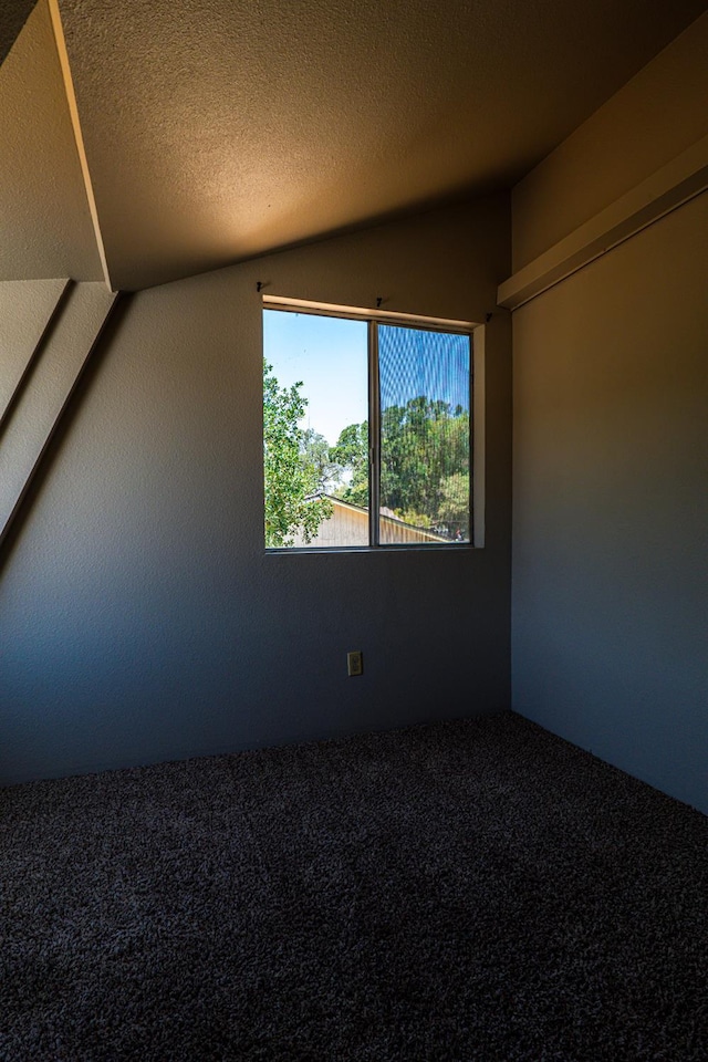 42560 Ranger Circle Way, Coarsegold, CA 93614 - bonus room featuring lofted ceiling and carpet flooring
