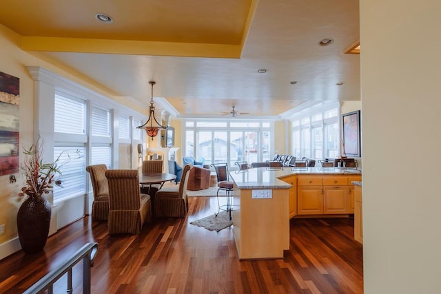 325 Juanita Ave, Oceano, CA 93445 - kitchen featuring light brown cabinetry, open floor plan, dark wood-type flooring, light countertops, and a ceiling fan