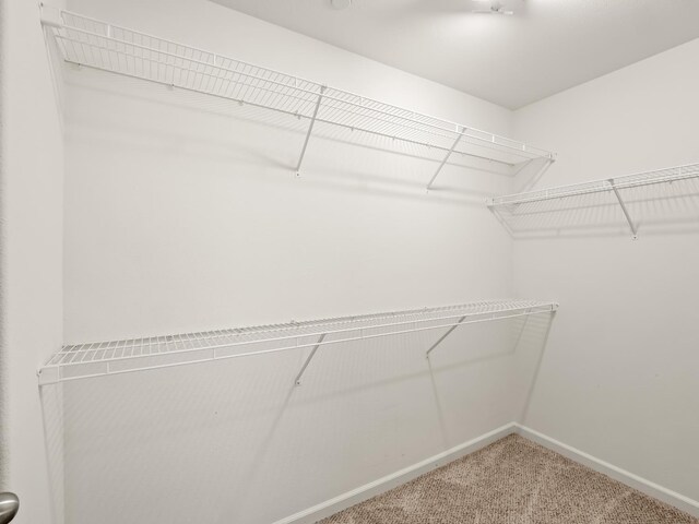 3433 Descanso Ave, Clovis, CA 93619 - walk in closet featuring carpet flooring