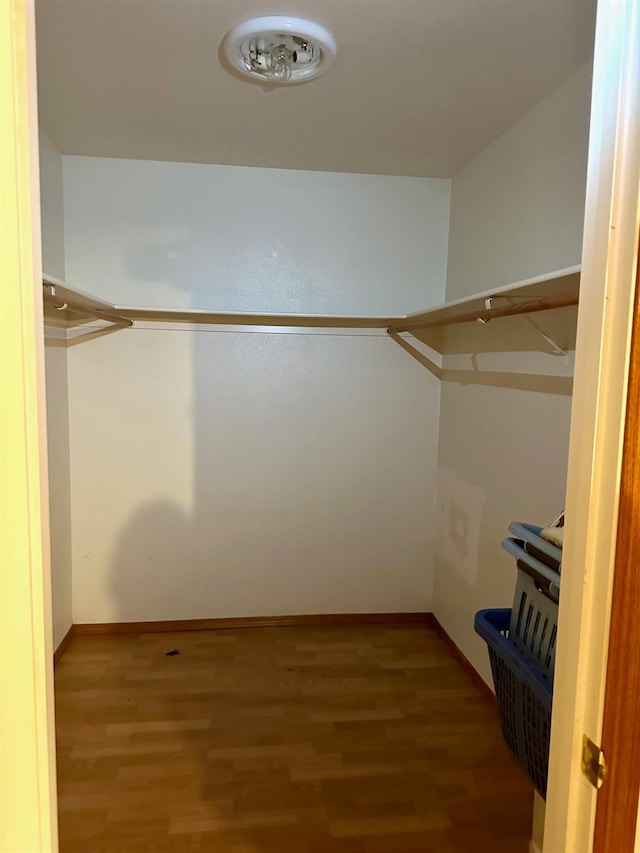 13308 Hood Ave, Hanford, CA 93230 - walk in closet with wood finished floors