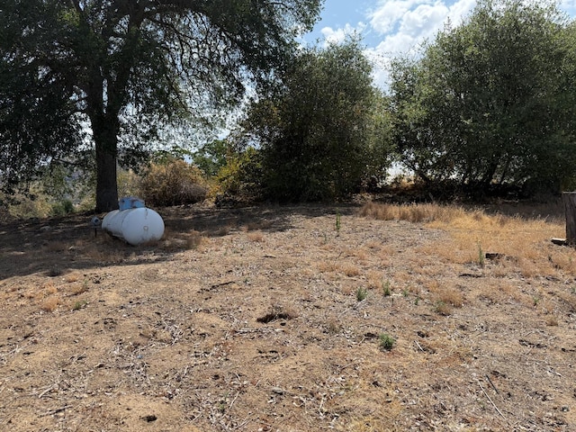 1248 Crane Ln, Yokuts Valley, CA 93675 - view of yard
