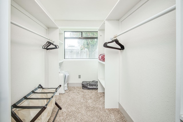 254 W Sierra Ave, Clovis, CA 93612 - walk in closet featuring carpet floors