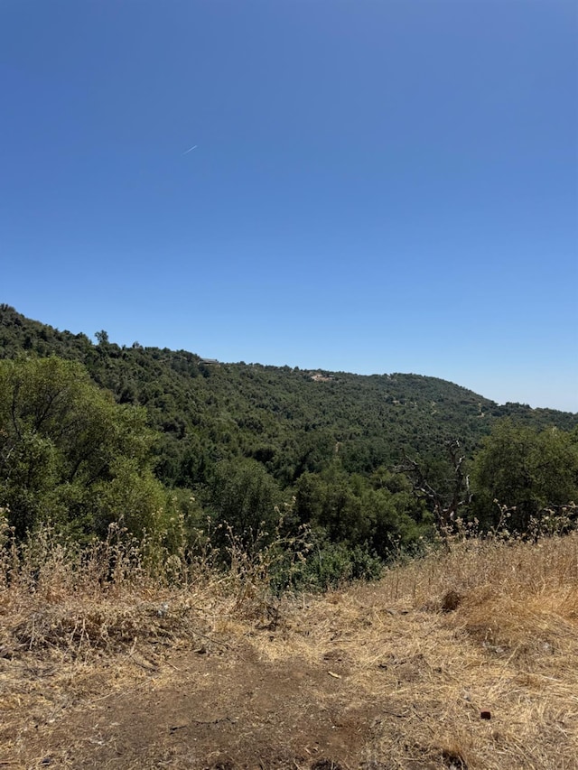 50481 Sundew Rd, Yokuts Valley, CA 93675 - mountain view featuring a heavily wooded area