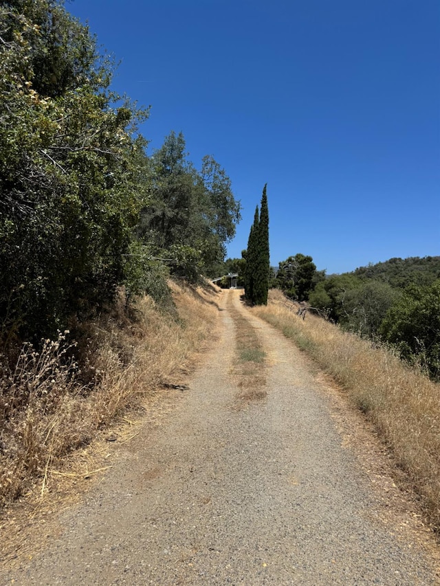 50481 Sundew Rd, Yokuts Valley, CA 93675 - view of dirt / gravel driveway