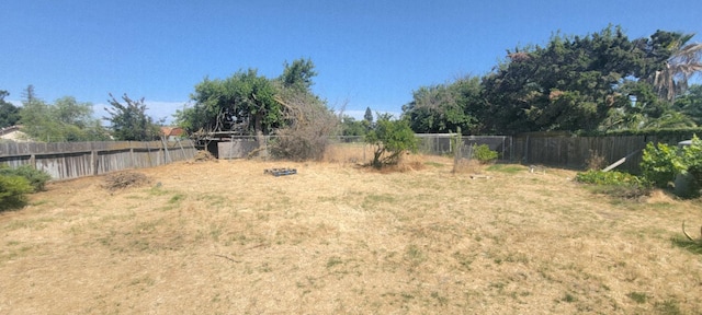 3122 Belmira Rd, Atwater, CA 95301 - view of yard