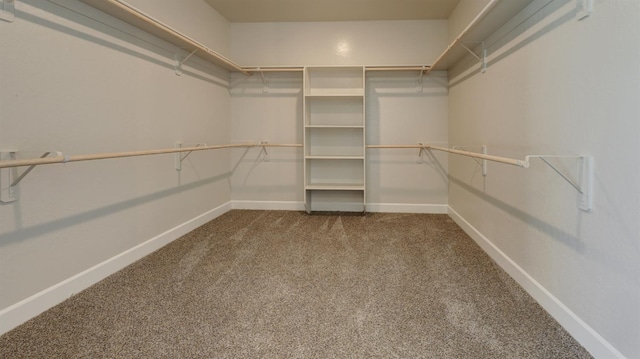 951 Talus Way S, Madera, CA 93636 - spacious closet featuring carpet flooring