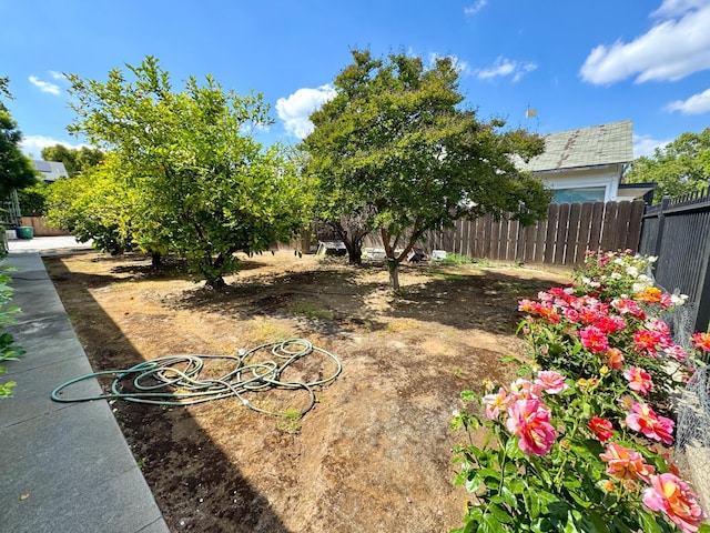 807 N Van Ness Ave, Fresno, CA 93728 - view of yard