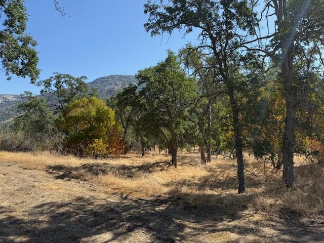 28552 Hidden Hollow Ln, Tollhouse, CA 93667 - photo 13