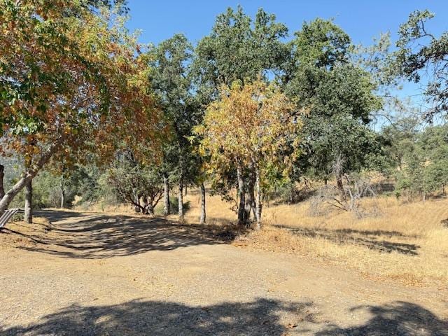 28552 Hidden Hollow Ln, Tollhouse, CA 93667 - photo 9