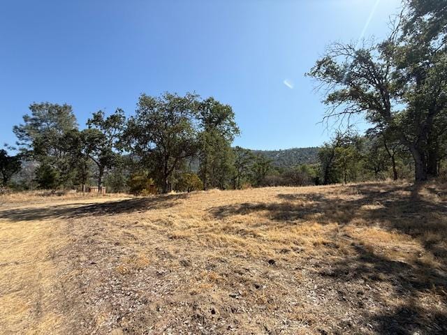28552 Hidden Hollow Ln, Tollhouse, CA 93667 - photo 11