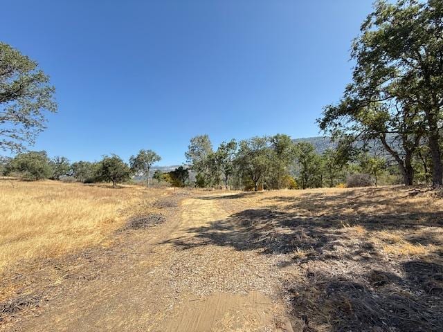28552 Hidden Hollow Ln, Tollhouse, CA 93667 - photo 10
