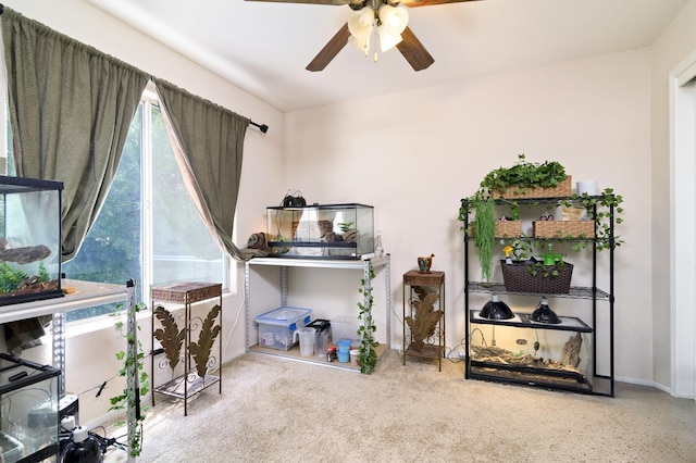 9544 N Whitehouse Dr, Fresno, CA 93720 - office space with ceiling fan and baseboards