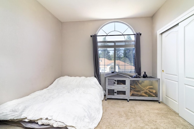 9544 N Whitehouse Dr, Fresno, CA 93720 - bedroom with carpet and a closet