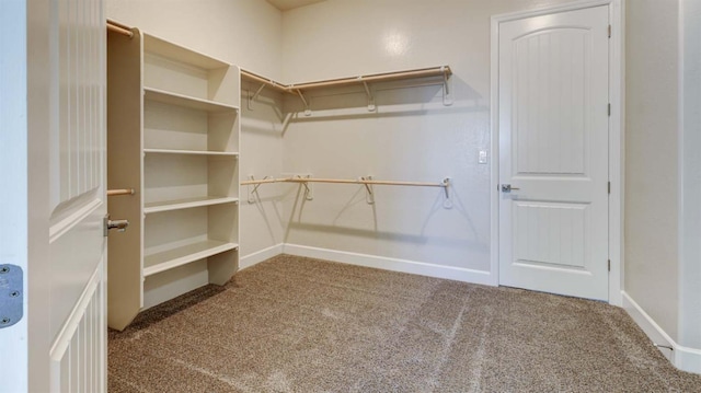 925 Talus Way S, Madera, CA 93636 - spacious closet with carpet flooring