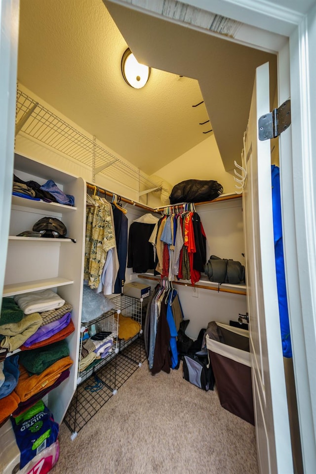 9930 N Rowell Ave, Fresno, CA 93720 - spacious closet featuring carpet flooring