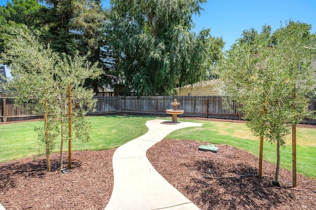 651 N Oxford Ave, Clovis, CA 93611 - photo 44