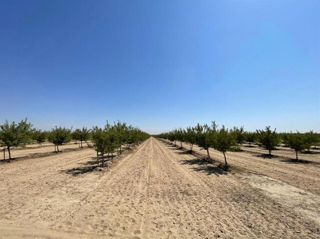 12420 S Chestnut Ave, Fresno, CA 93725 - view of road featuring a view of rural / pastoral area