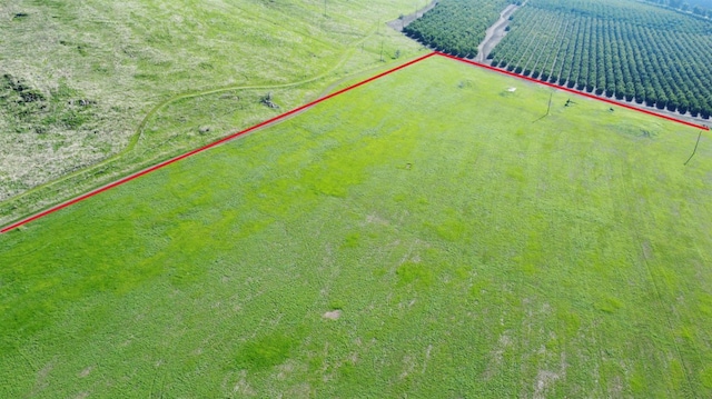 17654 N Main St, Porterville, CA 93257 - photo 10