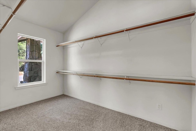 46453 Opah Dr, Ahwahnee, CA 93601 - walk in closet with carpet floors and vaulted ceiling