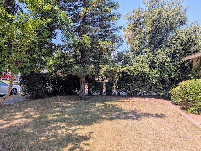906 W Fountain Way, Fresno, CA 93705 - photo 4
