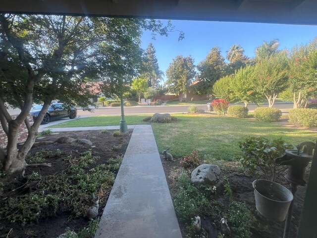 1339 E Feemster, Visalia, CA 93292 - photo 10