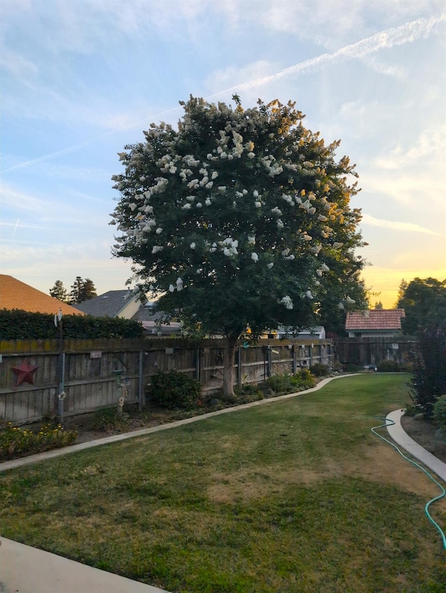 1339 E Feemster, Visalia, CA 93292 - photo 21