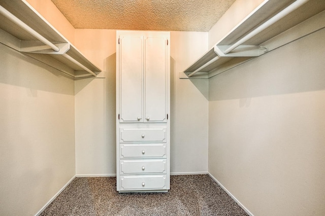 1445 W Ellery Way, Fresno, CA 93711 - spacious closet with dark colored carpet