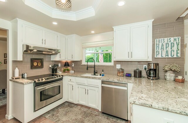 3012 Fairmont Ct, Madera, CA 93637 - kitchen featuring appliances with stainless steel finishes, under cabinet range hood, crown molding, tasteful backsplash, and a tray ceiling
