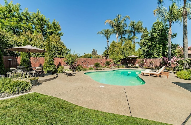 3012 Fairmont Ct, Madera, CA 93637 - view of pool with a patio area and a fenced backyard