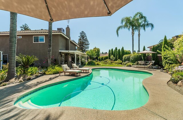 3012 Fairmont Ct, Madera, CA 93637 - swimming pool featuring a patio