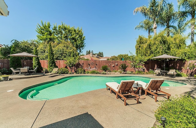 3012 Fairmont Ct, Madera, CA 93637 - view of swimming pool featuring a patio area and a fenced backyard