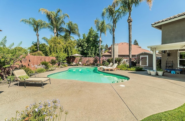 3012 Fairmont Ct, Madera, CA 93637 - view of swimming pool with a patio area, a shed, and a fenced backyard