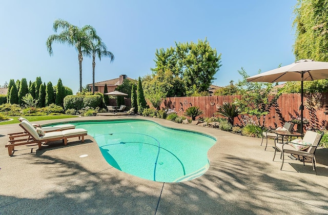 3012 Fairmont Ct, Madera, CA 93637 - view of pool with a patio area