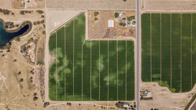 14550 18th Ave, Lemoore, CA 93245 - photo 3