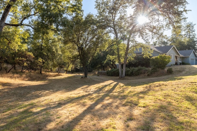 50128 Deer Meadow Way, Oakhurst, CA 93644 - photo 57