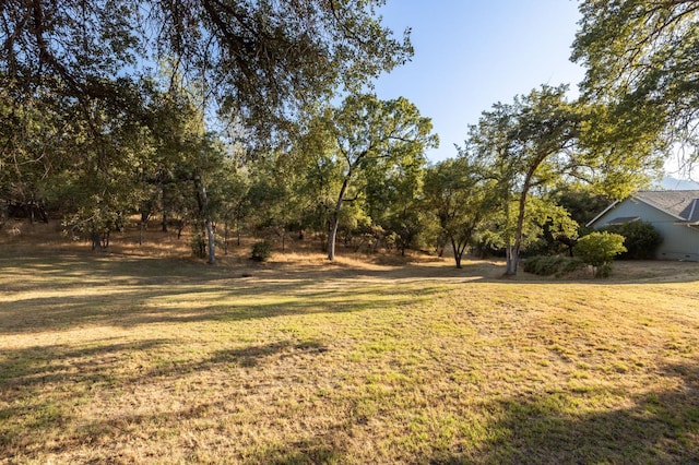 50128 Deer Meadow Way, Oakhurst, CA 93644 - photo 56