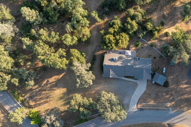 50128 Deer Meadow Way, Oakhurst, CA 93644 - photo 69