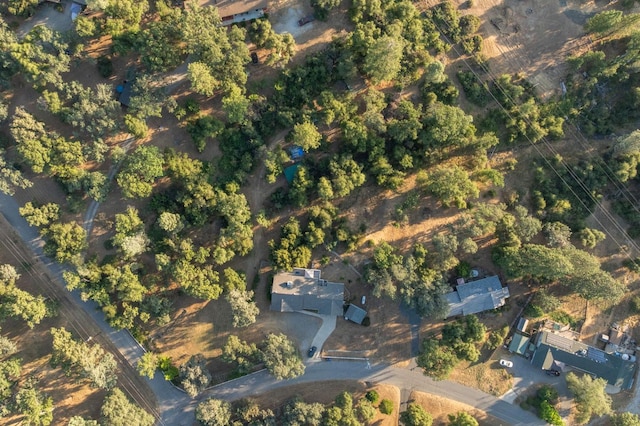 50128 Deer Meadow Way, Oakhurst, CA 93644 - photo 70