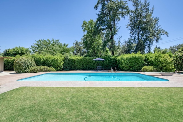 5679 N Van Ness Blvd, Fresno, CA 93711 - outdoor pool featuring a lawn and a diving board