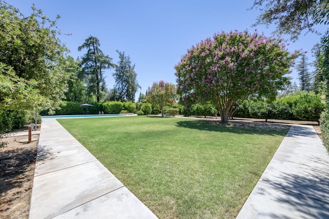 5679 N Van Ness Blvd, Fresno, CA 93711 - view of green lawn featuring a pool and view of scattered trees