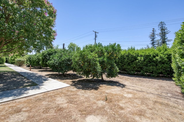 5679 N Van Ness Blvd, Fresno, CA 93711 - view of yard