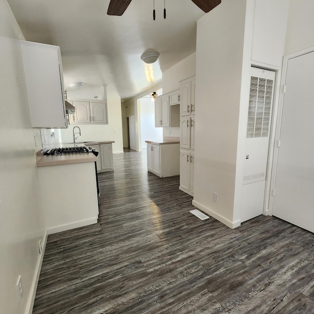 12015 E Shaw Ave, Clovis, CA 93619 - kitchen with ceiling fan, dark wood finished floors, a heating unit, light countertops, and under cabinet range hood