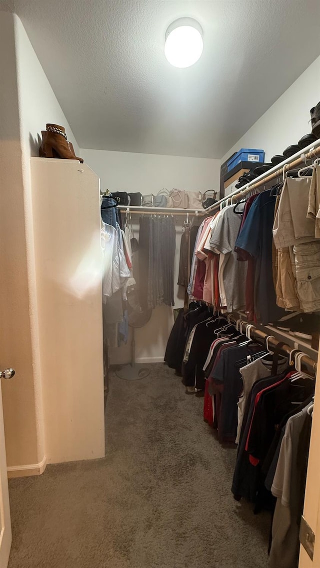5335 E Hoxie Ave, Fresno, CA 93725 - spacious closet featuring carpet